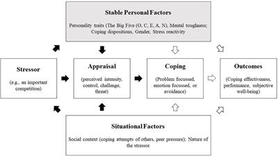 adolescence age of stress and strain